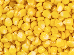 Moong Dal