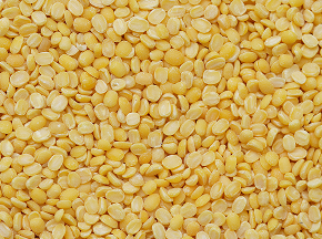 Sesame Seeds