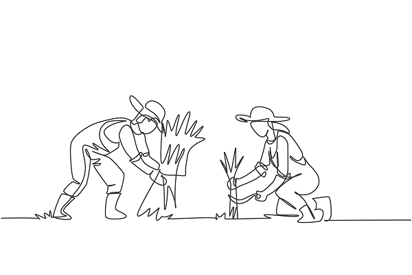 Mission